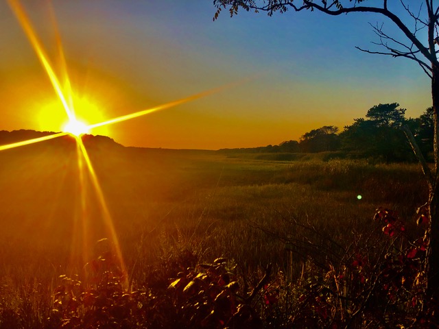 Featured photography by Prints By Peter
