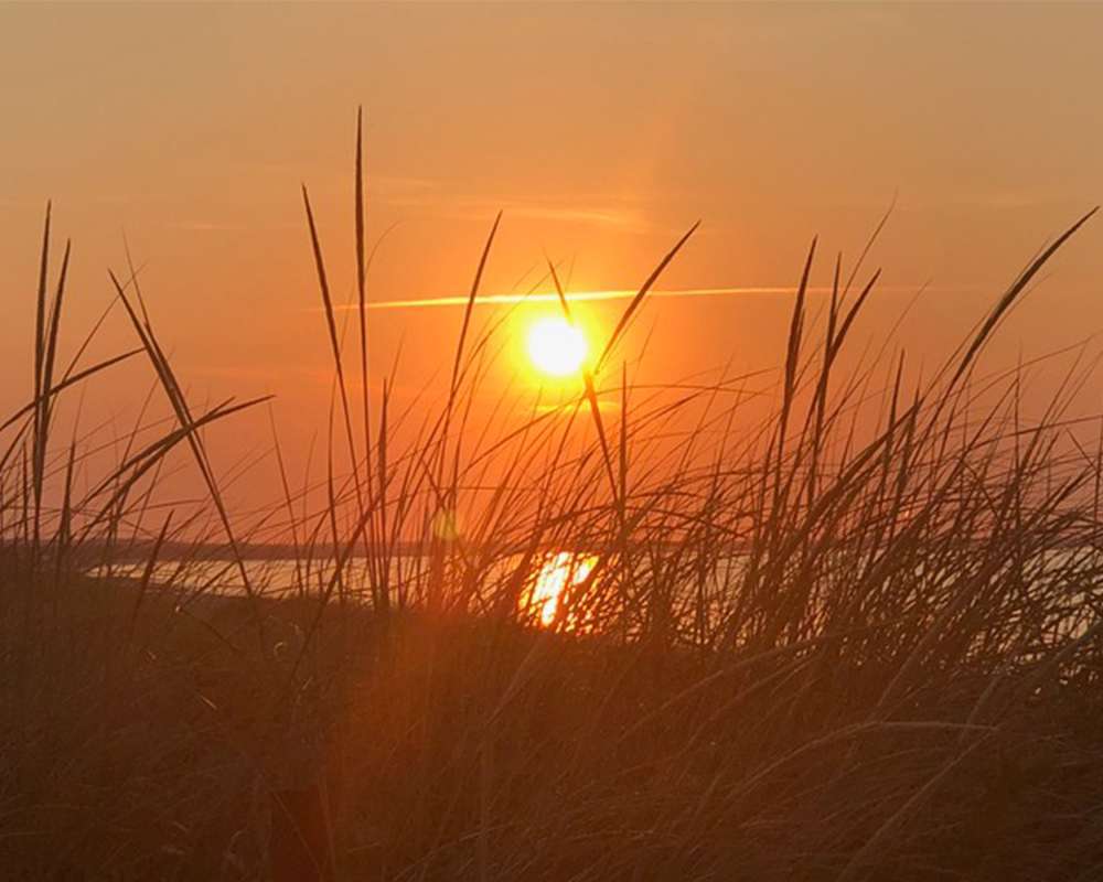 Featured photography by Prints By Peter